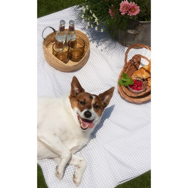 Small Basket Set Lifestyle 15